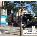 김가네 앞 횡단보도 이미지