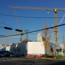 팔팔곰장어 이미지