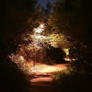 일광행정사합동사무소 이미지