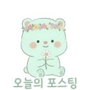 갑부보쌈 | 기장술집 술례길, 피자전에 과일막걸리 한 잔 솔직후기