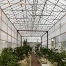 부등 농장 이미지