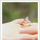 북천초등학교 이미지