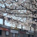 사하구-54 | 다대포 피부관리 부산 사하구 &#34;리움에스테틱&#34; 방문 후기