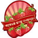 해반 형님들 딸기밭 다녀왔어요🍓 이미지