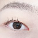 네일두속눈썹 | 노원 네일두속눈썹 속눈썹펌 후기✨