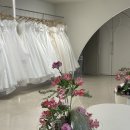 유정스윗헤어 | W10. 스튜디오 웨딩촬영 in 비비엔다 인천