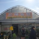 은혜꽃농원 이미지