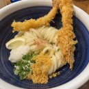 5360 | 재방문한 대전 둔산동 냉우동 맛집 타츠진 우동 내돈내산