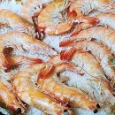 완도횟집 이미지