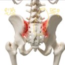 안양센터 | [바디밸런스 안양범계 체형교정&PT] 체형,자세교정, 재활 안양범계 센터 방문 후기