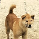 황룡 - 북구 관음중앙로 135 | 황룡