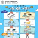 5월 사천 가볼만한곳&lt;아라마루 아쿠아리움&gt;방문후기, 어린이날 이벤트 소식 공유