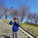선진주 이미지