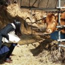 도곡5리 이미지