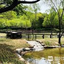 생태연못 이미지