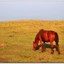 신풍목장 이미지