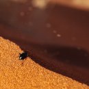 뚜벅뚜벅 세계여행 이미지