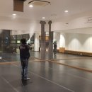 피톤치드컴퍼니 이미지