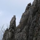 자연과인간사이 이미지