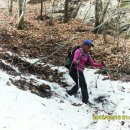 동막농장 이미지