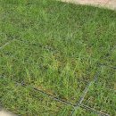 대량농장 이미지