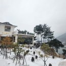 도도브로스 이미지