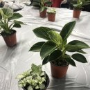 복전농장 이미지