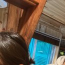 석모 포레 이미지