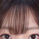 렌시스 위시 브라운 위시 그레이 착용 후기 렌시스 코드 IEPOPH7M