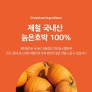 펌킨 이미지