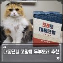 대동이용재료