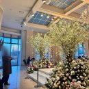 블레스짐 | [결혼준비] 대구 수성호텔 블레스홀 계약 후기 | 27년 3월 벚꽃 시즌 예식