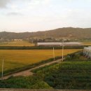 양감우체국 이미지