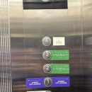 청담에스케이성형외과의원 | 드레스라인 살리는 웨딩관리 승모근 보톡스 효과, 부작용, 가격 솔직후기(청담 엠레드의원)