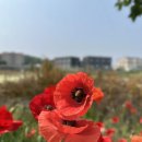 충청북도노인종합복지관 이미지