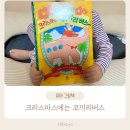책읽는곰