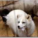 오-월드 이미지