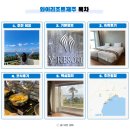 와이(Y)호텔 | 제주도 4인 가족여행 숙소 서귀포 Y와이리조트 수영장 추천