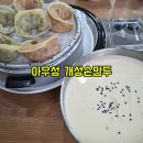 개성손만두 | 일산 콩국수 맛집 아우성 개성손만두 혼밥 후기 정발산역 식당
