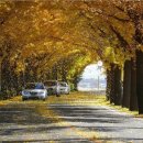 소망부동산중개사무소 이미지