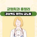 영신치과기공소 | 경상북도 영천시 금노동 교정치과 총정리