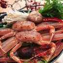 영덕대게 이미지