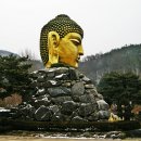 와우정사 이미지