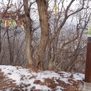 정배농장 이미지