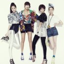 푸쉬푸쉬(PUSH PUSH) 이미지