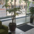 우리은행 건너편 이미지