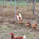 가득농장 이미지