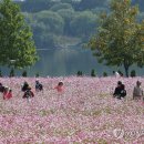 완연한 가을 날씨 이어져…내일 남부·제주에 비 이미지