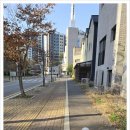 러비도기 네이버블로그