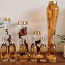 장씨삼형제하수오삼계탕 네이버블로그